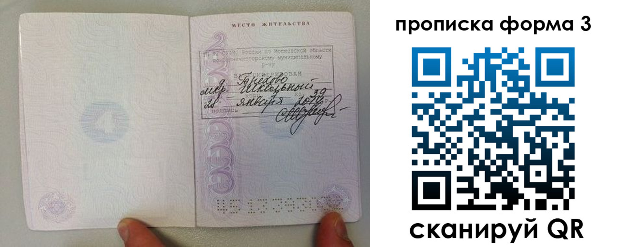 прописка гарантия в Ставрополе